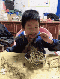 女孩|难道是我太保守？姑娘你穿这样就出来！太放得开了吧？哈哈哈