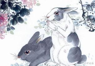 天蝎座|吉祥兔：最近七天，运势巅峰，正财横财收入囊中，人生即将逆袭