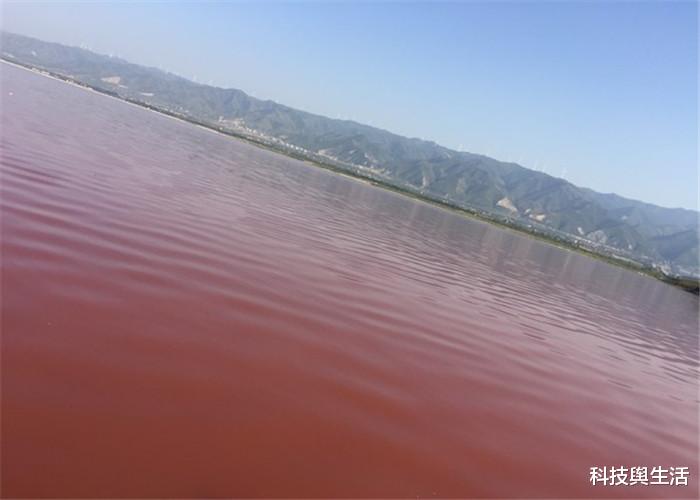 扎心■意大利地区出现异象,一滩“粉红色”的雪,究竟是什么引起的?