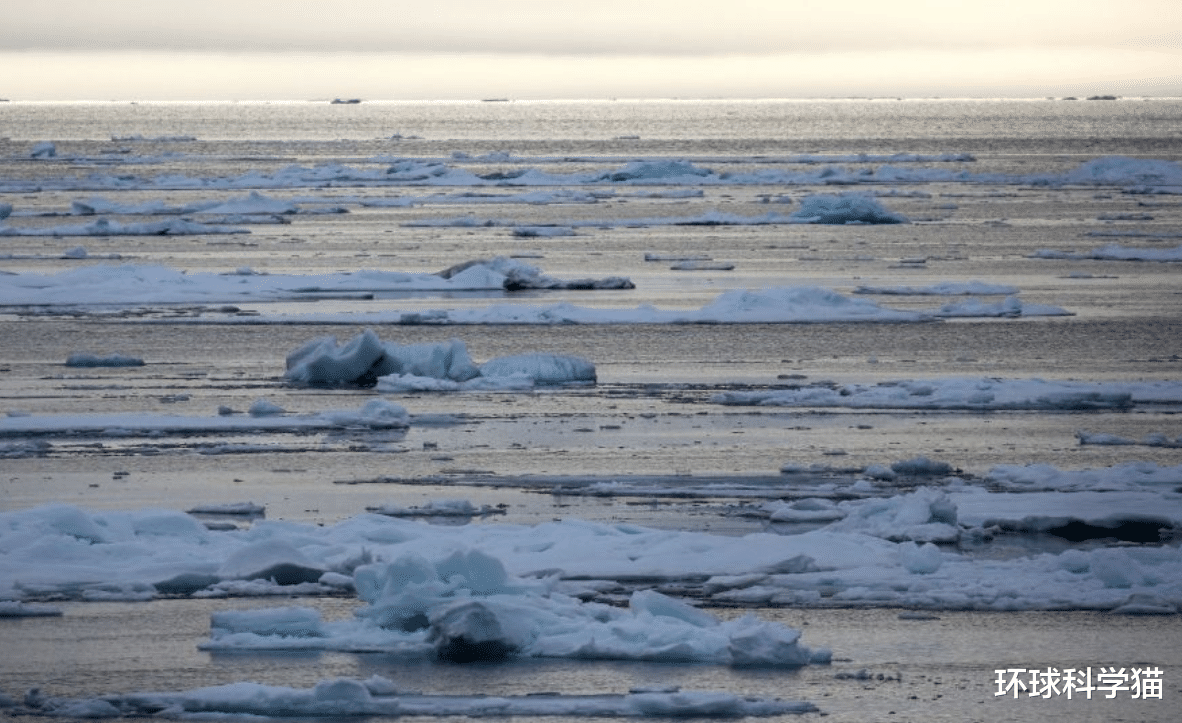 科学家|科学家警告！地球第“五大洋”可能在形成，已出现约56公里长裂缝