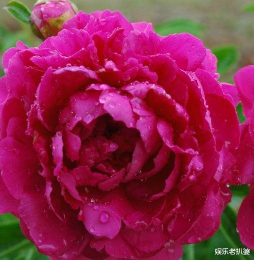 【水瓶座】未来一周，余情未消，爱意喧闹，3星座不忍放手，与旧爱厮守今生