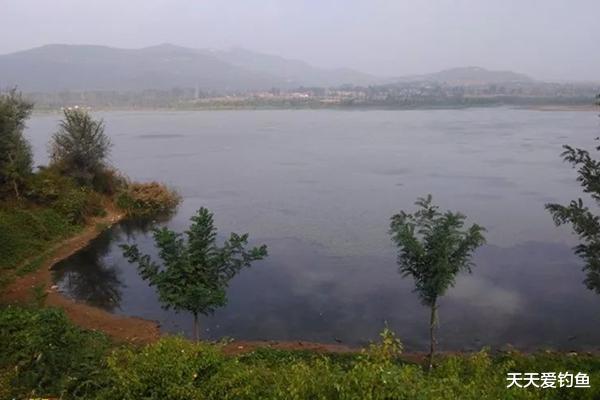 |白露过后钓大鱼，钓位可以这样选，选对了位置不愁钓不到鱼！