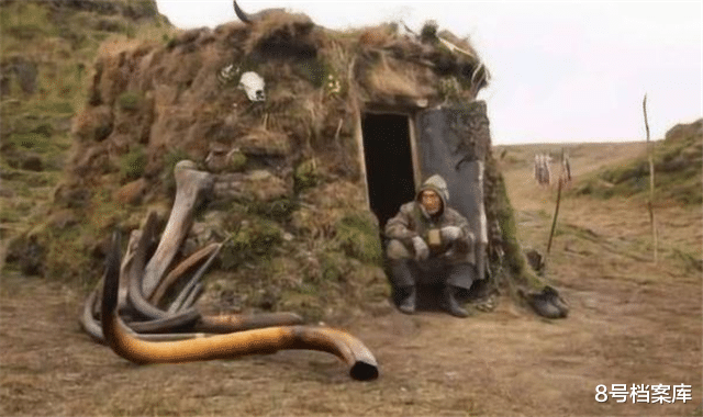 『猛犸象』一年休息300天,薪水高达上千万,此工作却无人敢干!