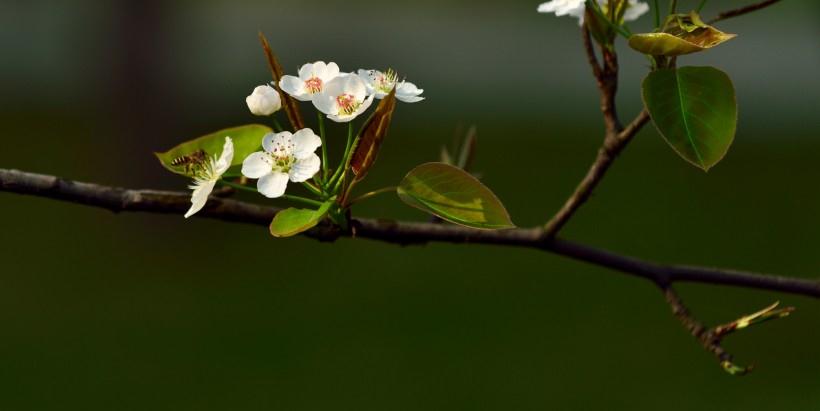 摩羯座|8月上旬起，好运好运不断，桃花兴旺，爱情美满的4大星座