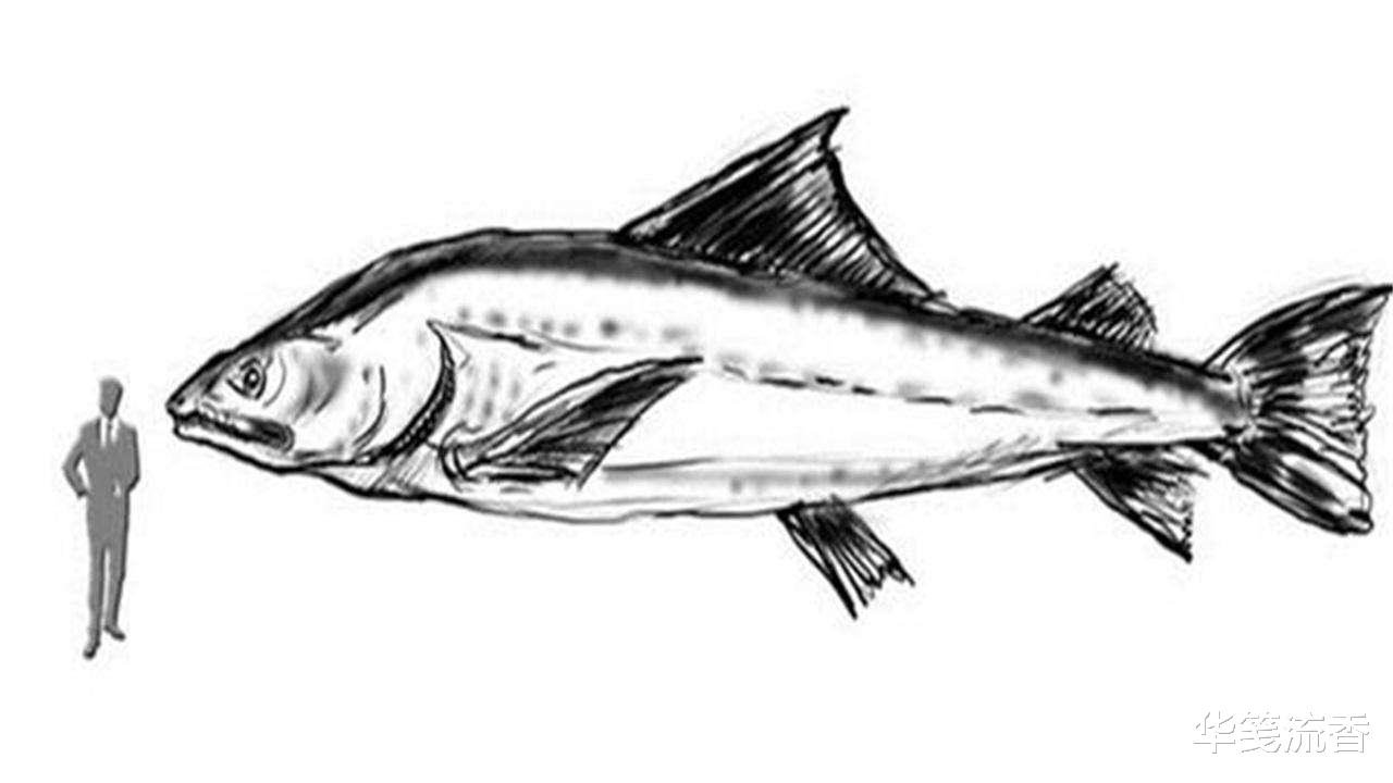 [黑洞]生命或源于高维度，在低维度构造肉身，穿越普遍存在，怪兽传说是证据