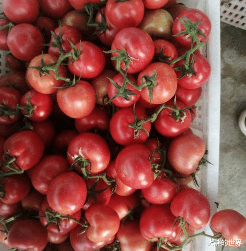 【西红柿炒蛋】西红柿炒蛋不出汁还粘锅?加水就错了,只需这一招,分分钟出汁儿