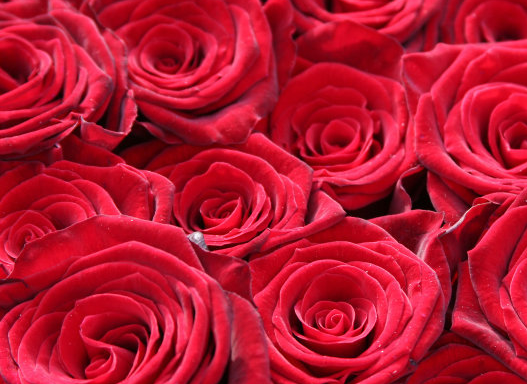 运势|春节前，4属相运势如虹，财运大涨，吉祥如意，大展宏图