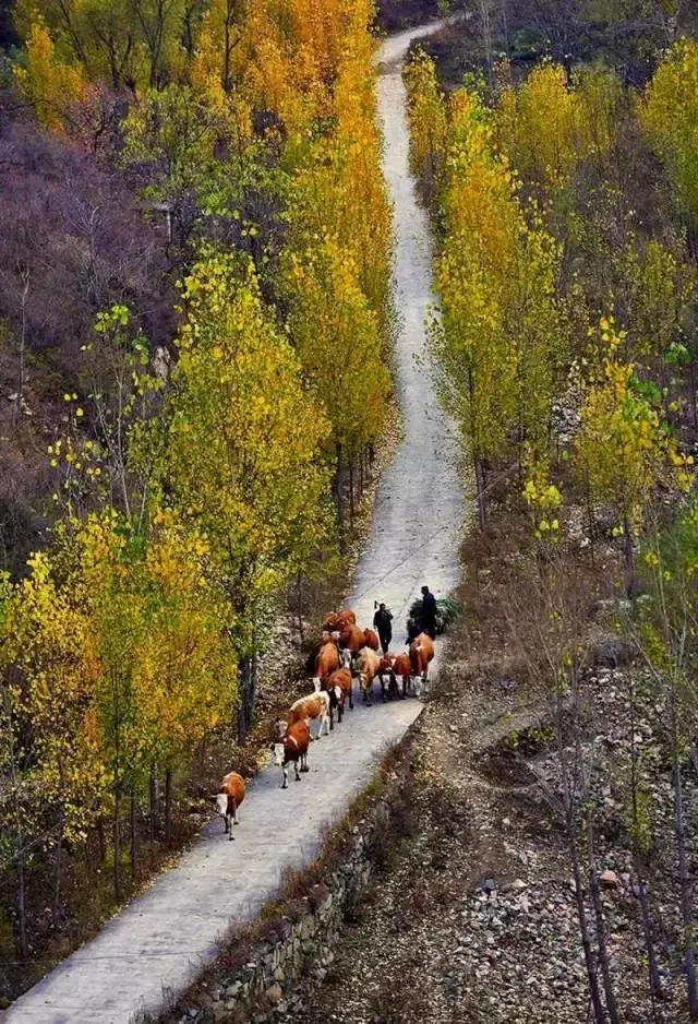自驾|“金九银十”非热门自驾目的地出炉，个个惊艳，附探秘路线
