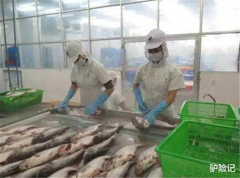 越南|越南的“王牌产品”,被美国拒绝后愿低价出口中国,却再次被拒