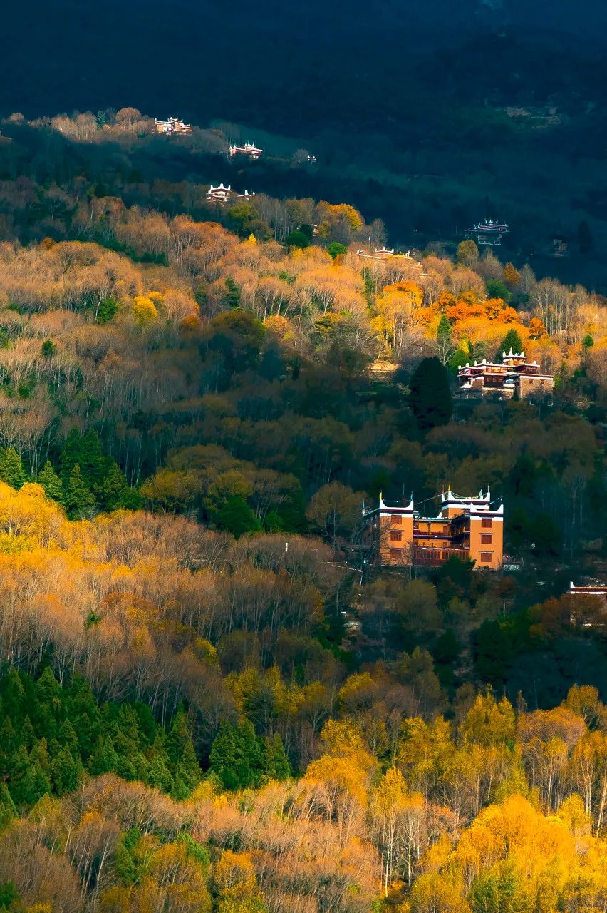 柿子|正适合秋天小住三五天的12个古村落，安逸而静谧，累了就去躲三两天清净