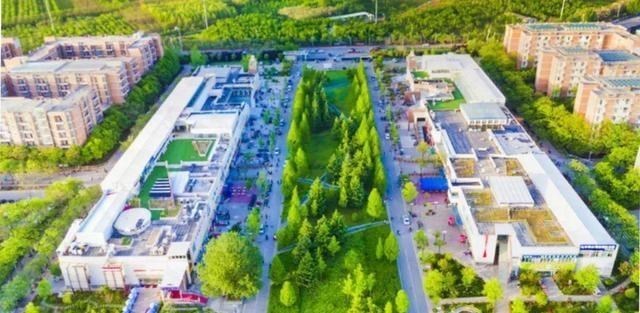 #高校#华为2019年签约高校人数前19名，这所211大学高居榜首