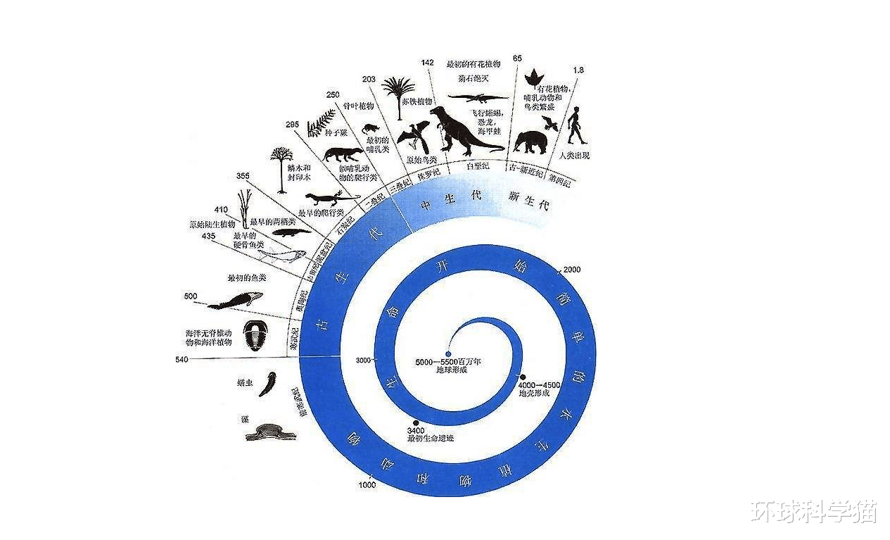 科学家|罕见！身长约30厘米，科学界研究60多年，仍不知道该生物是什么