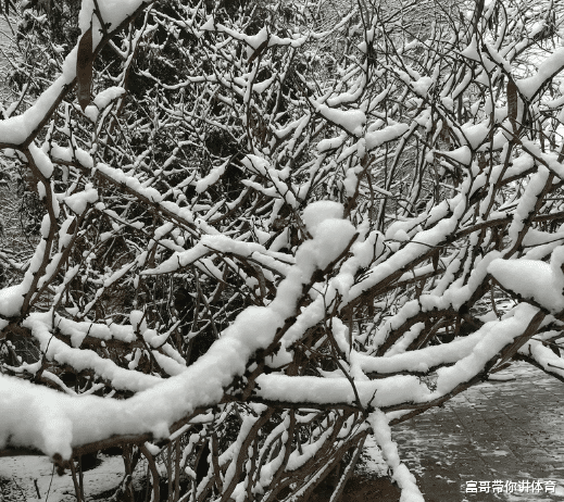 招生|三个华为公司招生人数很多的院校