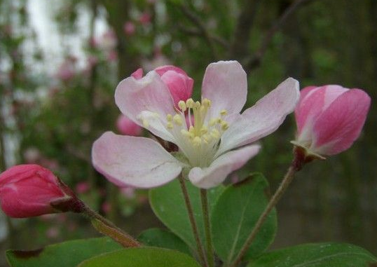 天蝎座|未来一周运势转好，4属相万事如意，好运降临，喜事接连不断