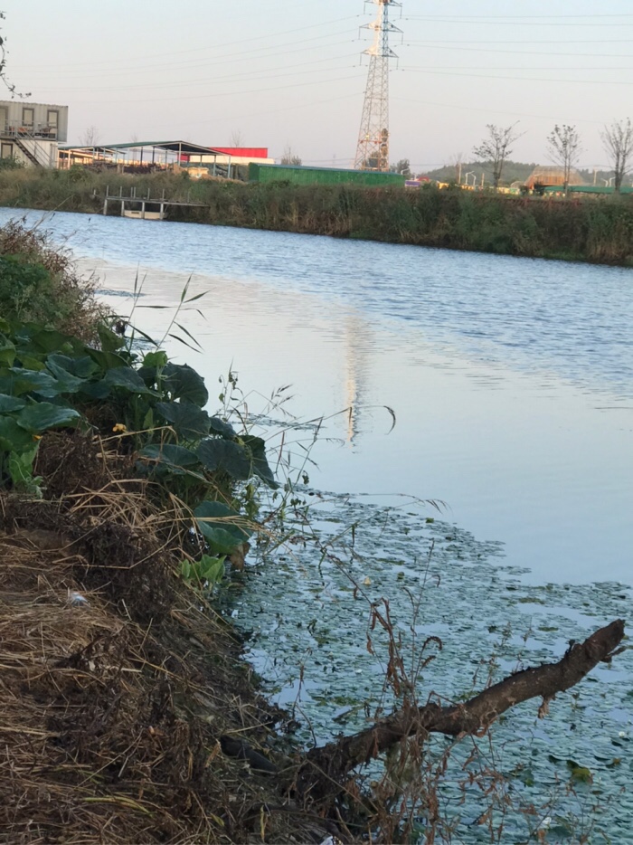 社会养老|今天鱼儿还是没口