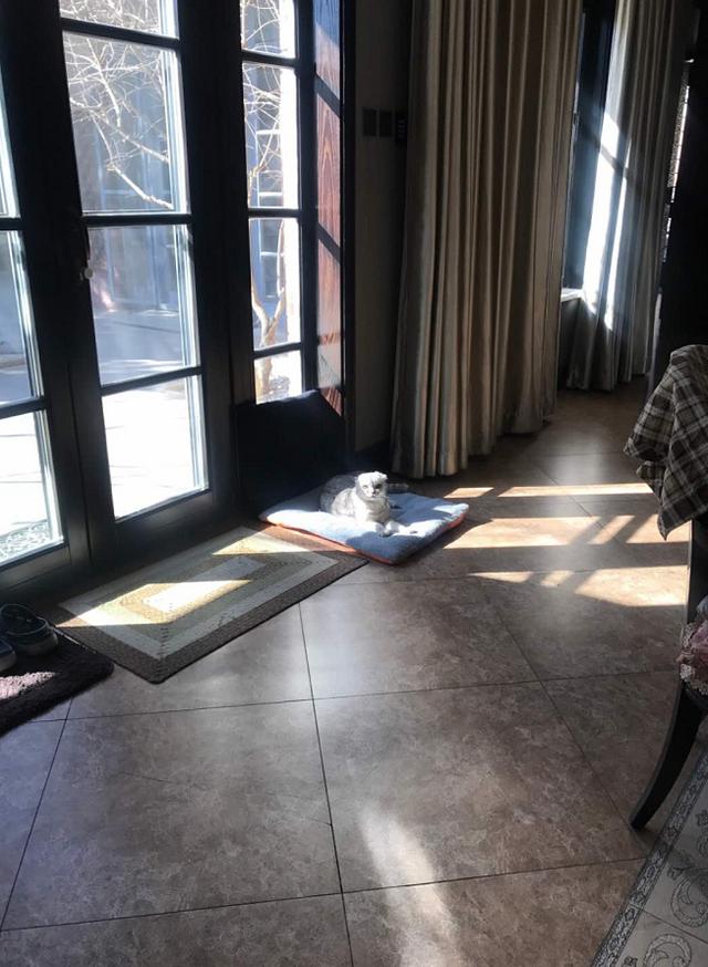 周扬青|31岁周扬青豪宅曝光，价值上亿装修奢华，网友：怪不得分手有底气