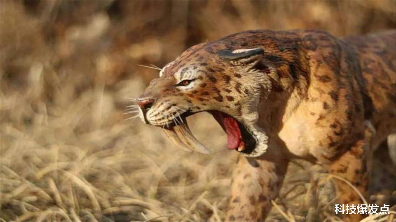 南方古猿|有以人类为食的生物吗？曾经存在过，差点被吃到灭绝！