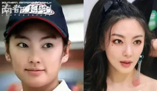 姐姐|脸上扎900多针,一瓶面霜200多万,浪姐里谁的脸最烧钱?