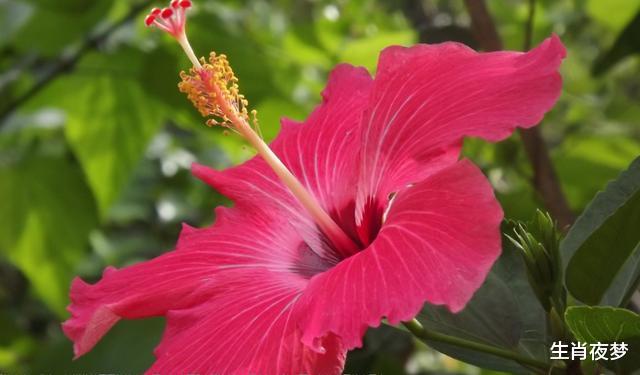 [生肖]4月底，情正浓，爱正好，旧情人回眸一笑，3生肖破镜重圆，幸福到