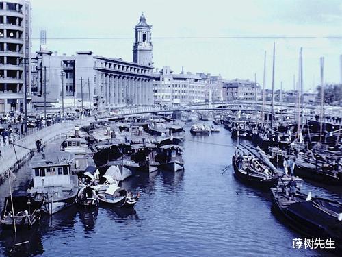 「张作霖」陈独秀之女陈子美一生坎坷：70年代突然消失，原来是泅渡到了香港