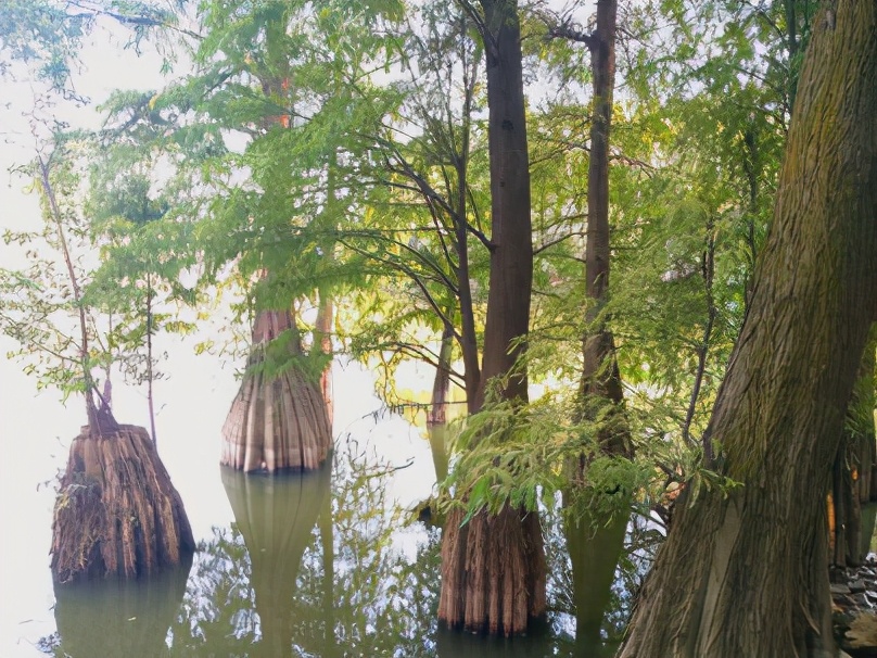 |放假，我选择在学校钓鱼