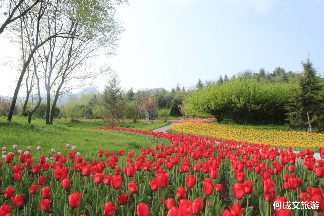 陕西|陕西“巨无霸”景区，面积超西湖13倍，坐车一天逛不完，就在西安