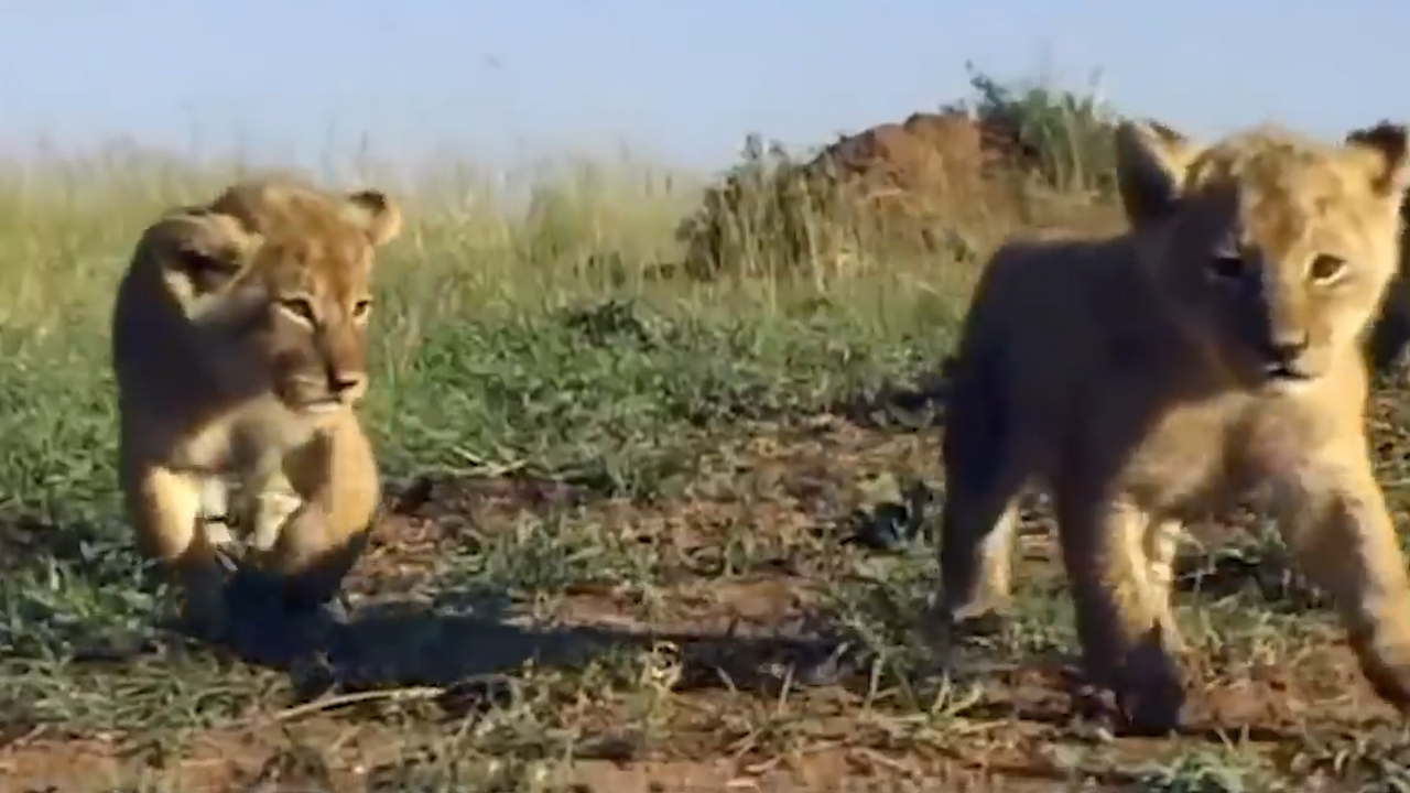 『星座男』属这几大生肖的人，做人厚道，招人待见，6月开头好，事业如彩虹