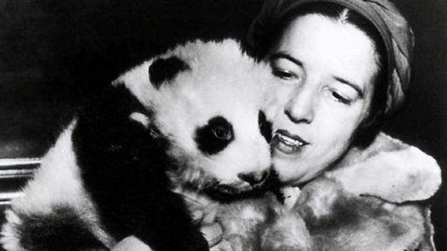 哺乳动物|古代那么多凶残猛兽，为何却不会攻击大熊猫？看看它古名就懂了