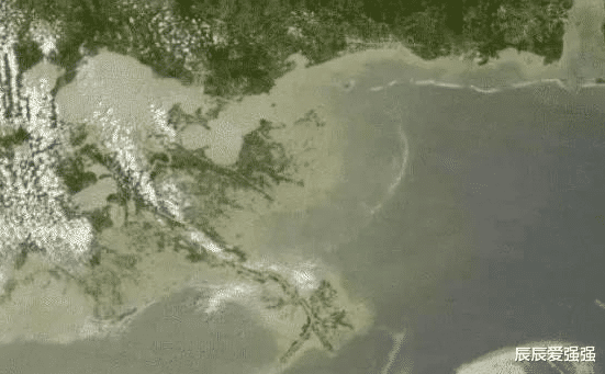 「科学家」找到龙了？种种迹象表明，龙是真实存在的！我们是龙的传人