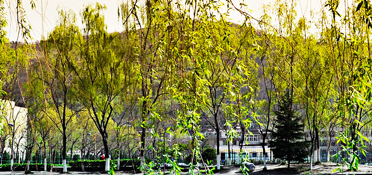 『招生』这三所公立大学录取分低,二本低分就能读,最适合低分考生