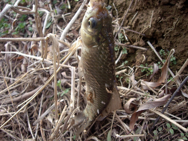 皮划艇|冬天到了，鱼难钓，怎么办？说说我的方法