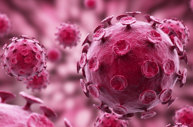 ▲西伯利亚发现4.6万年前的生物，携带大量病毒，它们会扩散吗