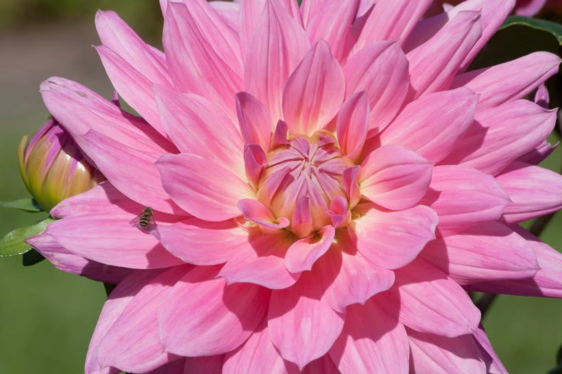 【运势】未来五个月好运连连,喜事登门,福多财盛,四属相可以轻松赚大钱