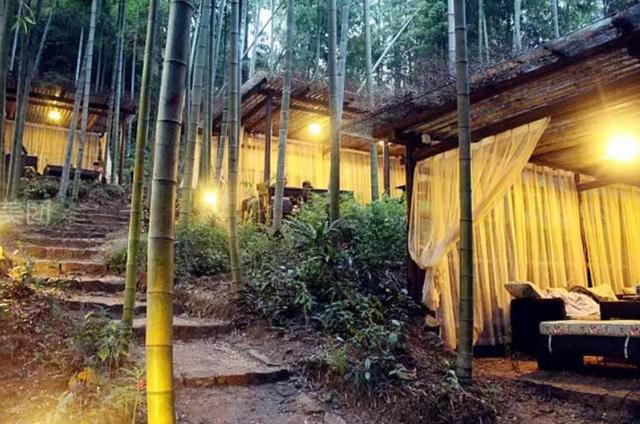 『莫干山』被称为民宿界的“巴黎岛”，竹林幽幽，享有“江南第一山”的美誉