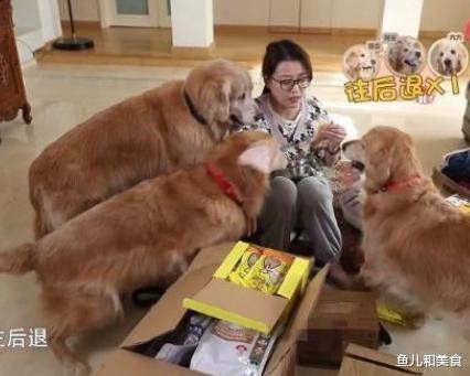 |周海媚住上亿别墅,菜地10万一平米,宠物狗有独立卧室和专用浴缸