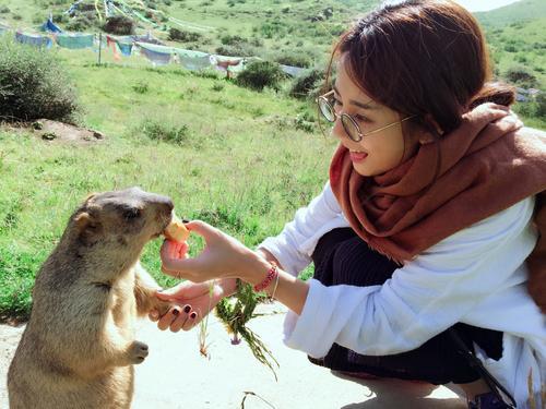 『稻城亚丁』自驾稻城亚丁行程安排:三大线路讲解,最快的线路一天即可到达