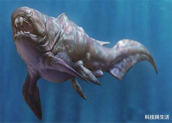 『邓氏鱼』它曾是海洋界的老大,幸亏淘汰了,不然人类无法踏足海洋!