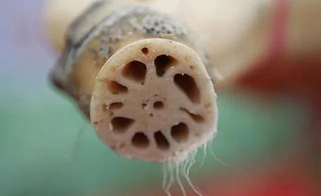 偏方@隐藏在民间的中医“偏方”，会有你想要的一个（值得收藏）