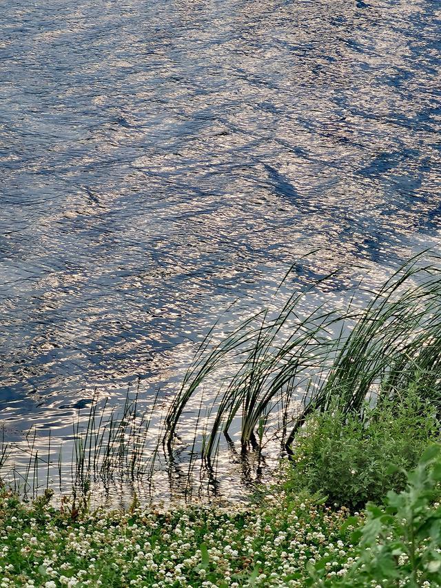 双十一|又一款热门手机双11降价，荣耀30 Pro直降300元