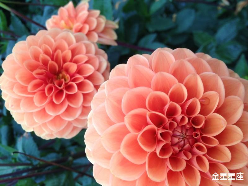 [生肖]6月16号起正财翻涨，步步高升，迎来一波获利渠道，财源滚滚来的生肖