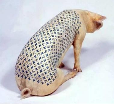 『老外在中国』老外在中国养猪，不为吃肉只为猪皮，并称：猪皮比黄金还值钱！