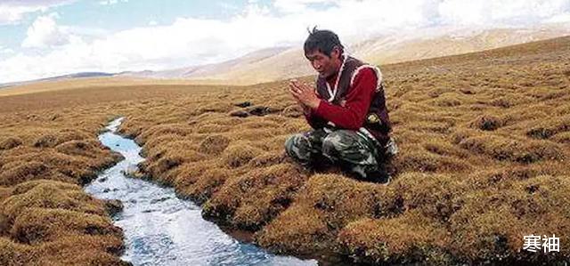 黄河|碗口大小的黄河源头再“曝光”，生态环境脆弱，禁止任何人靠近！