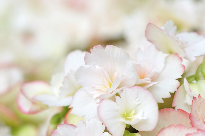 运势|属猪朋友财运亨通，9月下旬开始轻松赚大钱，10月开始不再穷！