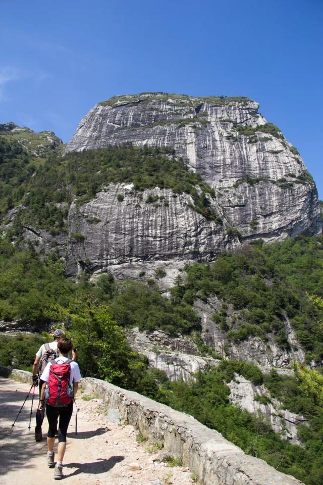 「秦岭」寻访秦岭光头山：又险又好看！自驾不让上？爬也要爬上去打一次卡