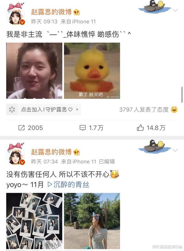 赵露思|因表白肖战高调营销，赵露思痛失新剧女主，袁冰妍将顶替赵露思