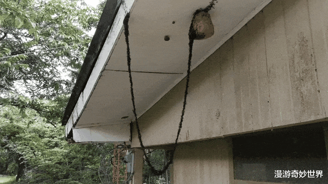 |活久见的25张图，让你眼界打开！