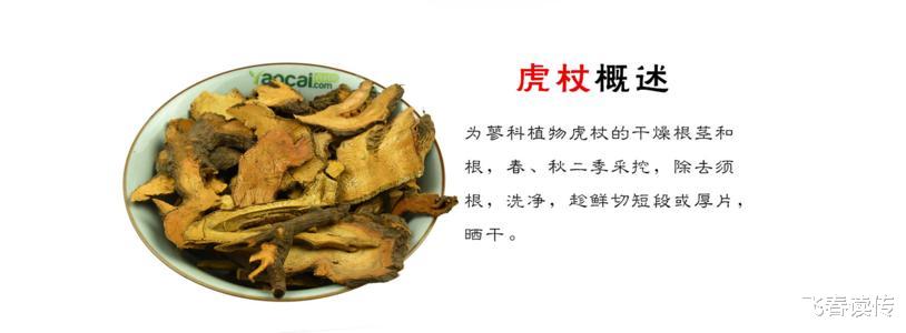 科学家|植物入侵，能导致人自杀，这不是科幻片，是历史和现实