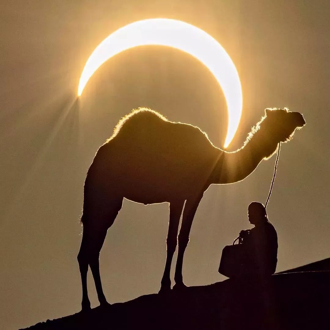 甘肃|千万别跟甘肃人吃饭