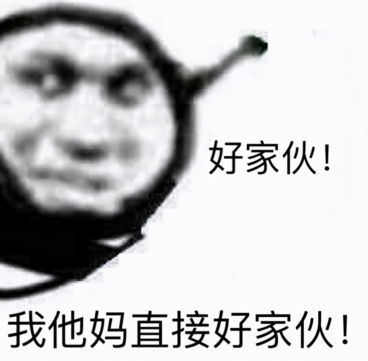 食材|收到北方朋友送的半扇羊，我全家人都傻了