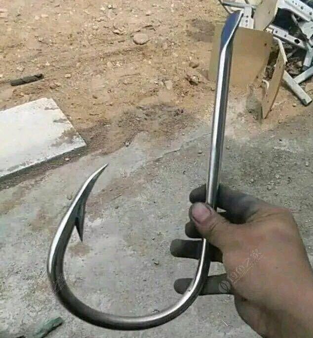 奇闻|钓鱼人的奇闻怪事！钓鱼趣闻（二）